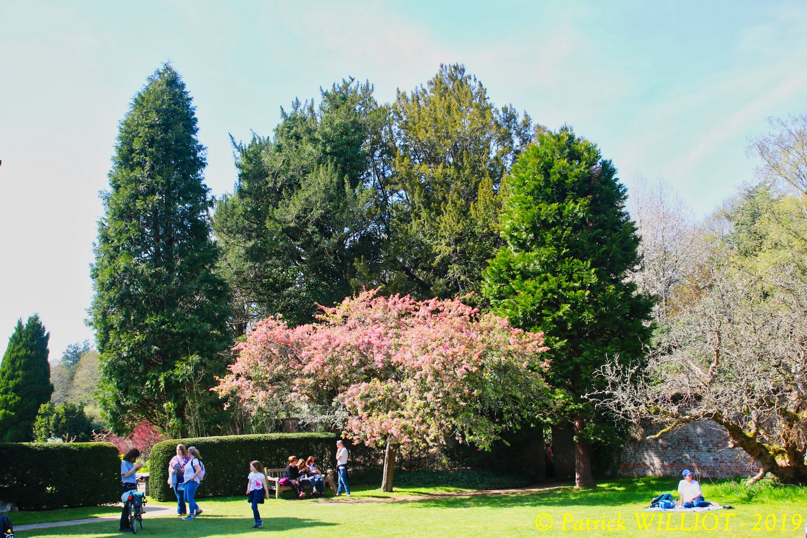 Lamberhurst - Scotney Castle